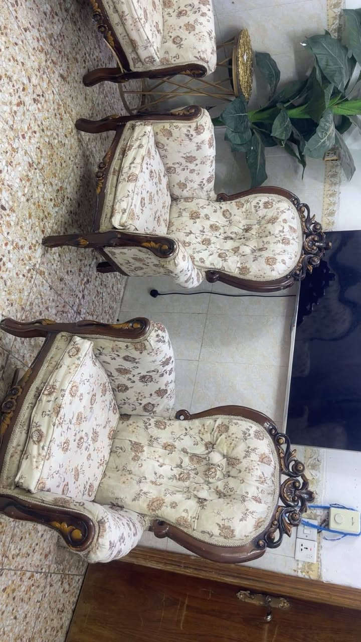 بيع مستعجل عشره مقعد زان مصري بدون ضرر السعر 190 ..***********
