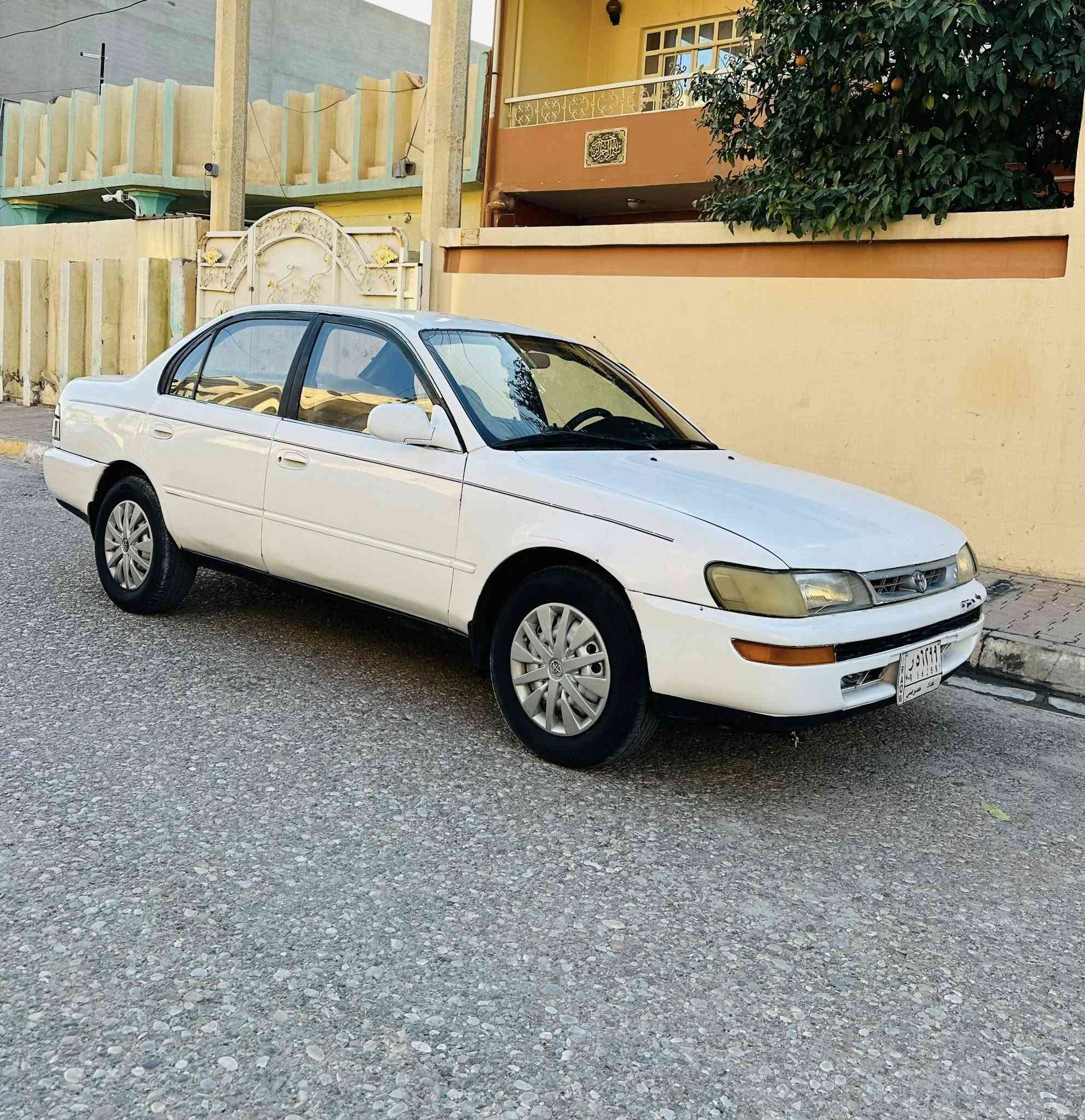 كورله بلاد ايسر مامحور
موديل 1994 مشروع وطني ل 27 محرك 16
صبغ حزام جماليه بدون اي ضرر كير محرك بلشرط
مكاني كركوك سعر 57 وبيها مجال قليل تصل
***********
***********
