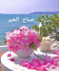 طباخ • مناسبات • كربلاء