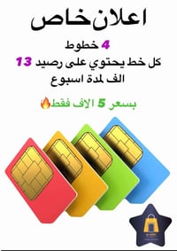 زين • ٤ خطوط • الديوانية