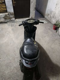 ماكس ثعلب • شغالة • مكاني الشعب الديوان