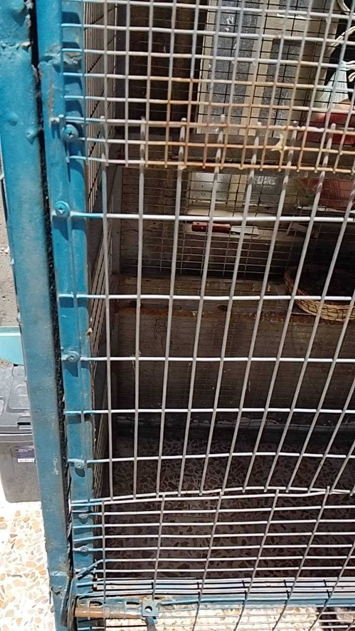 السلام عليكم  

مكيف نوعيه يونيفا هم شغال ع فحص 
وقفص تسكام 
مكاني النجف


**إذا كنت صاحب هذا الإعلان وتريد حذفه لأي سبب، رجاءا أرسل رسالة إلى الدعم الفني**