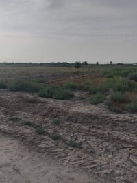 قطعه ارض زراعي ملك صرف ٣٠ دونم للبيع العنوان التويثه  ومطله عل الطريق ...