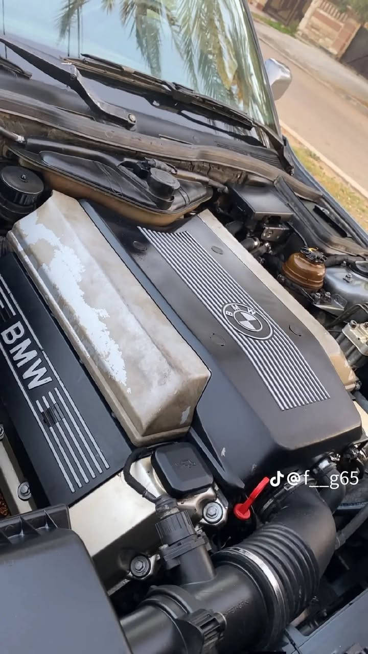 مراوس باخرة جديدة أينقص مابيهة مكان بغداد


**إذا كنت صاحب هذا الإعلان وتريد حذفه لأي سبب، رجاءا أرسل رسالة إلى الدعم الفني**