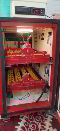 فقاسة • فول اتوماتيك • ٦٨ بيضة