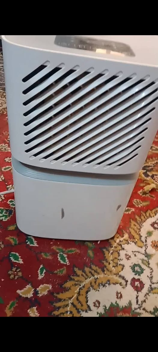 تخم قنفات للبيع سعره ٥٥٠ ومنقيه هواء سعرها ٥٠ مكاني ناصريه حي سومر


**إذا كنت صاحب هذا الإعلان وتريد حذفه لأي سبب، رجاءا أرسل رسالة إلى الدعم الفني**