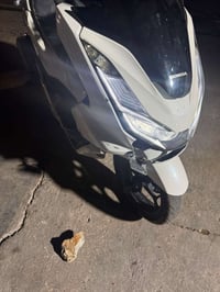 بي سي اكس جيل رابع بيها ضرر موضح بل صوره ابيعها على حطتها مكاني بغداد ...