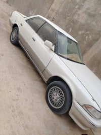 مارك كصيف • البصرة • ابو الخصيب
