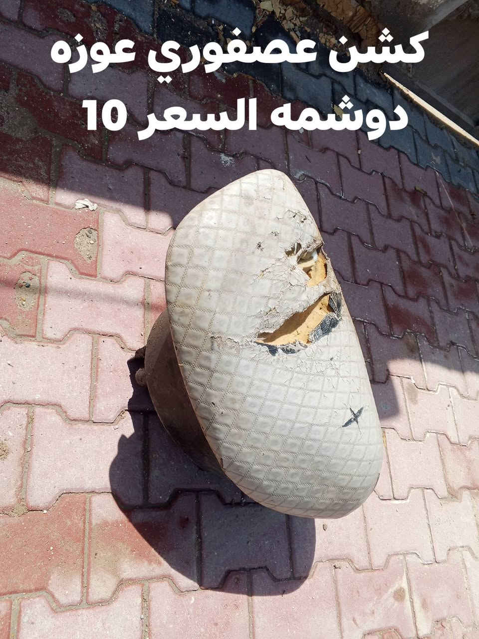 غراض عصفوري للبيع للتواصل علا هذا الرقم ***********
