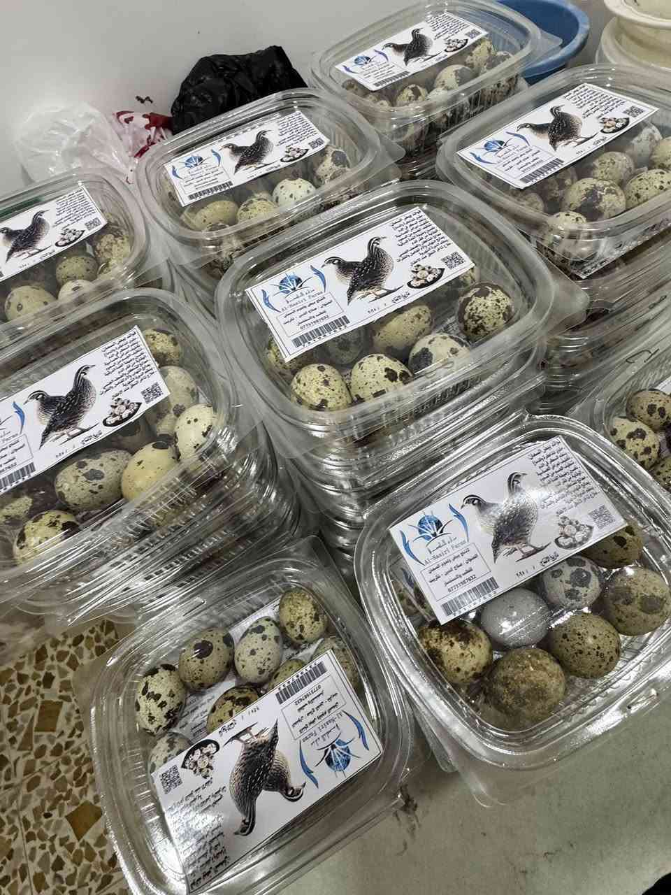 بسم الله ماشاء الله 
متاح بيض سمان ( مريعي) النوعية خبط بي عادي  جانبو وبي تكساس كل الالوان يرهم اكل ويرهم تفقيس  الاستفسار على الرقم ***********  العنوان/ صلاح الدين / تكريت
