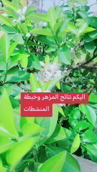 يوجد توصيل الجميع المحافظات 07766280978   07766280978