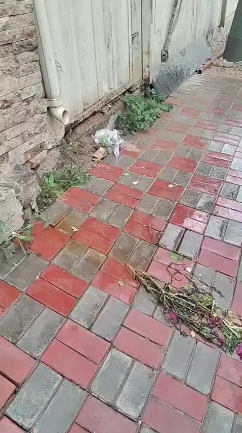 يالله بيت للبيع طابو صرف المساحه 250م طابق ونص نضيف جدا جاهز للسكن يتكون 3غرف صاله مطبخ ستقبال صحيات داخليه خارجية مناور بناء طابوق سقف مسلح خدمات كامله الموقع ممتاز كربلاء طويريج حي الرياض ثاني بيت عن شارع المستشفى استفسار اكثر مراجعه مكتب الجمعيه للعقار مراسله او اتصل  
*********** 
***********
