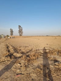 ١١دونم • دور المصرين • ناحية الوحدة