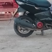 اصلي • ماكس • حلزوني ستيل