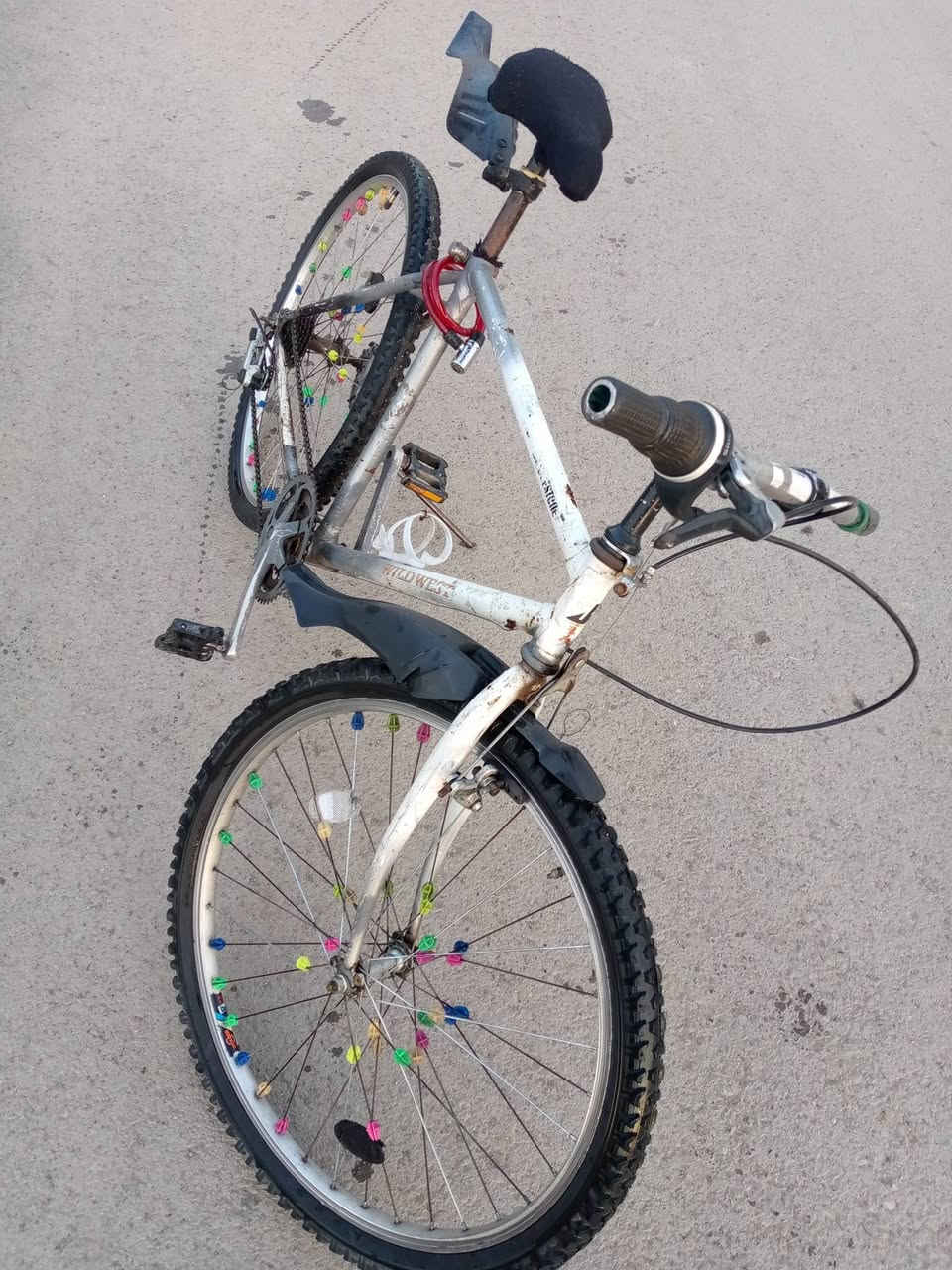 السلام عليكم ورحمه الله وبركاته 
متاح بايسكل للبيع شغال بس سطاب ورى مابي السعر 80 وبي مجال المكان الموصل قضاء تلكيف الاستفسار أكثر الاتصال على الرقم التالي *********** او مراسلة الصفحه
