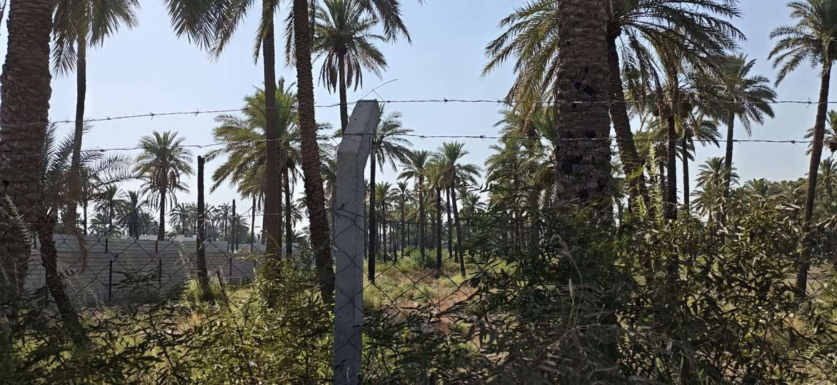 للبيع دونم طابو ملك صرف الواجهة 50والجزال 50 المكان الدوره البوعيثه مباشر عالشارع الاستفسار ***********
