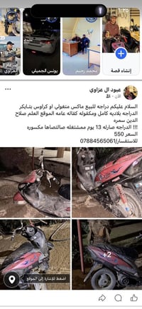 ماكس منغولي • كفالة عامة • صلاح الدين