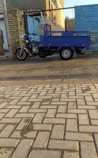 ستوتة للبيع طلعة سبوعين وكيلها نوار 07857454980