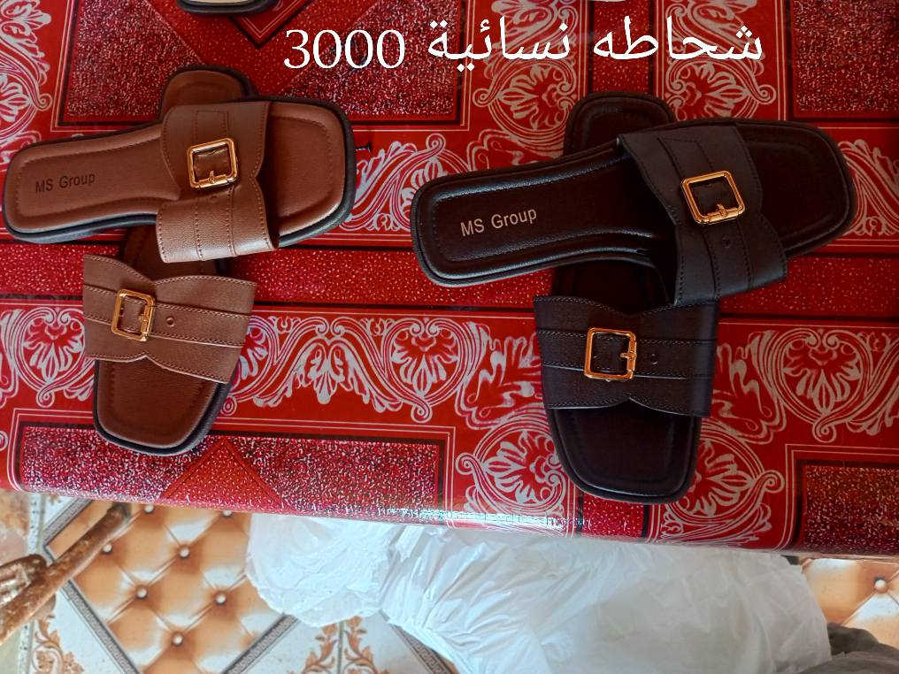 فلس ونص مكاني مشخاب ***********
