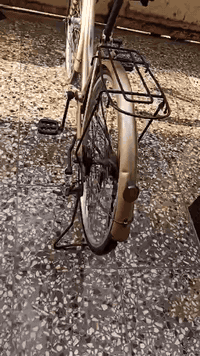 سلام  عليكم بايسكل مديل 2018للبيع مكاني كربلاء  طريق الحر خلف مدارس الوارث السعر 95 بي مجال بسيط***********
