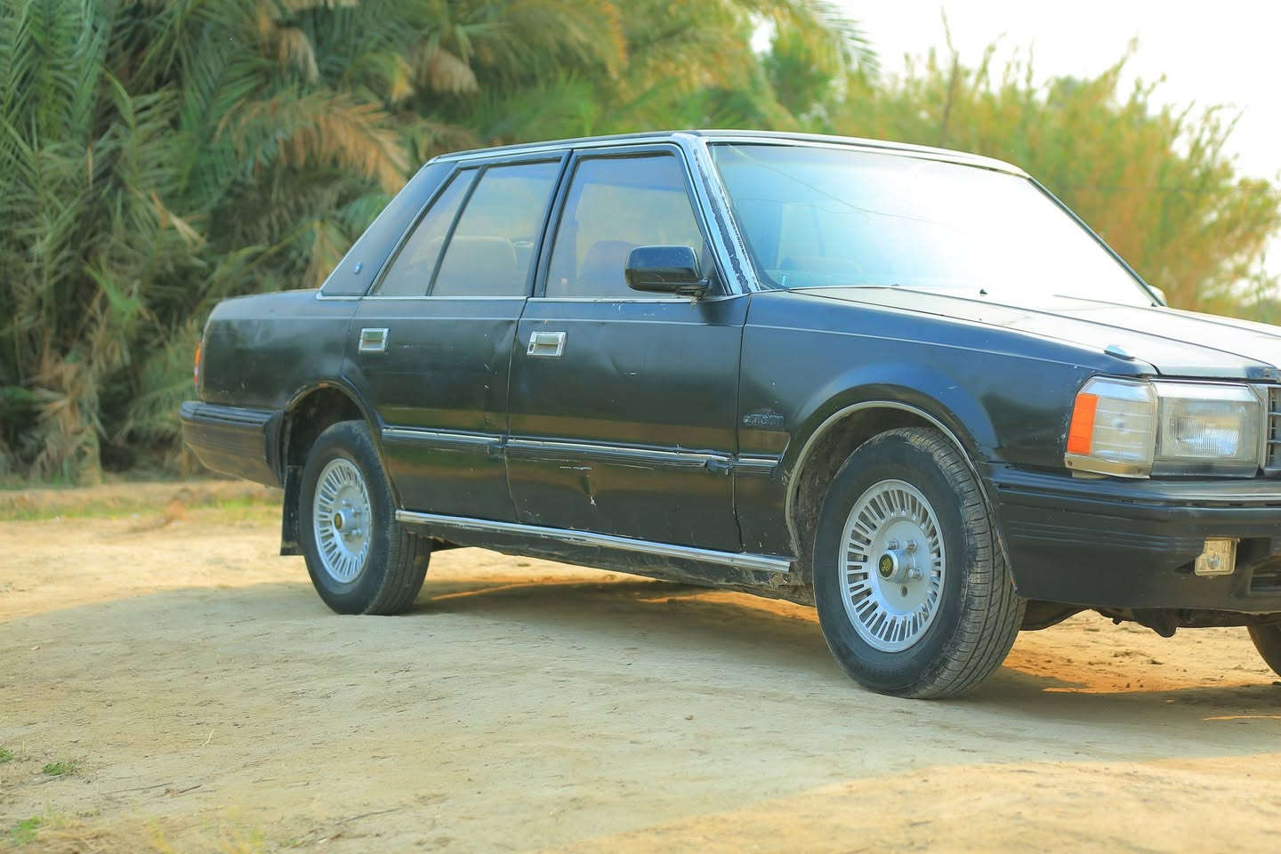 سوبر 85
رقم صلاح الدين.   مشروع وطني 

سياره نضيفه وعضمها بدون ضربه 

كير ومكينه خير من الله. مكينه وكير بطه ام الديلكو 2500

حداديه نص عمر. سياره تخم تاير.  داخلها نصيف وحلو 

سعر سياره 30 وبيها مجال 

عنواني بابل الحمزه الغربي.  ***********
