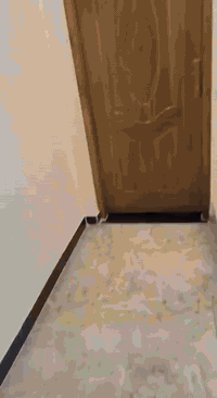 بيت طابو صرف للبيع مساحة ٥٠ متر بناء حديث العنوان الامين الثانية شارع الارامل قرب المستوصف للاستفسار الاتصال فقط على الرقم ***********
