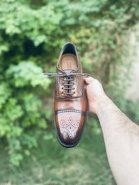 اكسفورد • قياس ٤٢ ونص