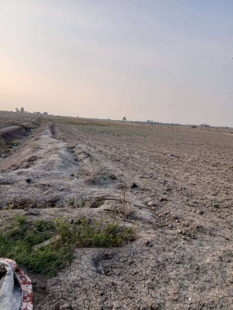 السلام عليكم ارض البيع ٢٠دونم مع بيوت اثنين حديثات العنوان بابل جبلة رشايد فرع الخامس السعر ٢٦٠ /***********
