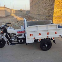 ستوته • دايون • 2019