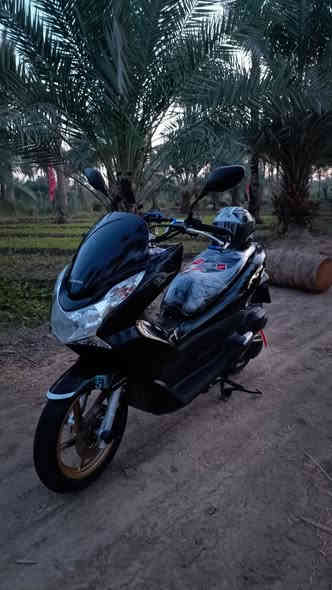 سلام عليكم
دراجه pcx للبيع 
دراجه حاويه صارله 20 يوم تقريبا من نزلت من الحاويه 
دراجه جديده حيل نضيفه كلش 
بل حقيقه احلا لان صور تعبانه بسب جهازي تعبان 
دراجه مكفوله من كلشي.. جديده بمعنى الكلمه 
دراجه مزوده (صالنصه رياضي) 
(وياله جبتهن من دراجه تفصيخ لونهن ذهبي) 
(كفر يده يسره ويمنه كاربون فايبر) 
دراجه ع فحص وين ميعجبك روح افحص 
(مكاتبه مكتوب بيه سعر مليونين) 
دراجه ماشيه 26 بس 
رجائآ لا تكسر بل سعر لان دراجه جديده ❤
اني ابيعلك  1800 
واذا شراي تدلل 
مكاني نجف 
مجمع السلام السكني 
رقمي ***********
