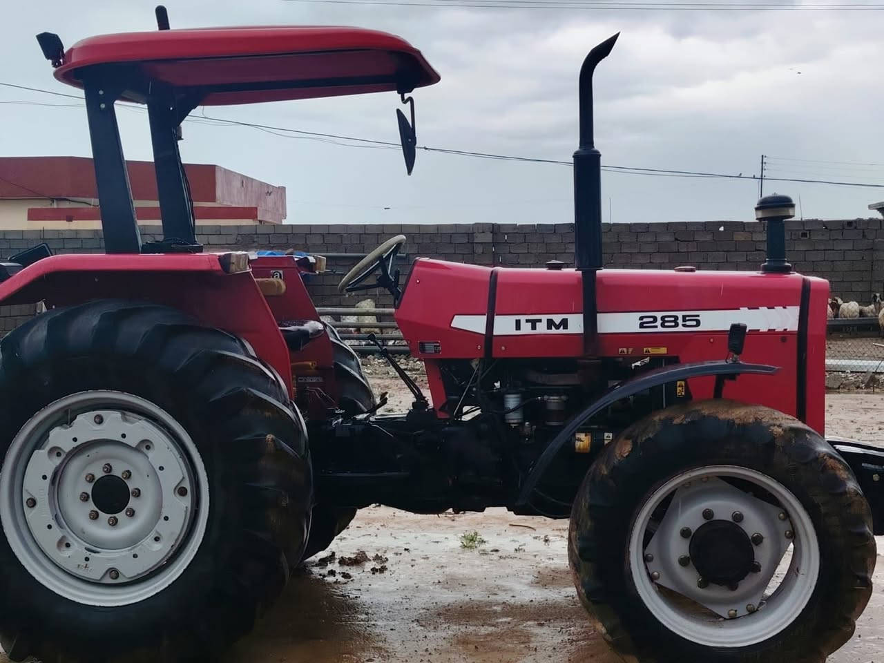 السلام وعليكم 
للبيع تركتر ايراني موديل 2019 رقم سليمانية  ، المحرك وضع شركة مكان التركتر كركوك للستفسار اتصل 
***********
. 
. 
. 
. 
ادمن وافق
