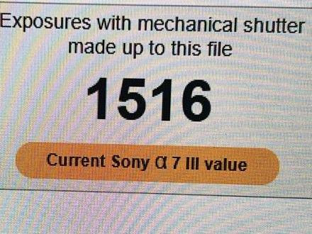 سلام عليكم كاميره سوني A7iii للبيع نضافه 95% غراضها كامله شترها كدامكم
عنوان/ ناصرية مركز 

رقم الهاتف/ ***********
