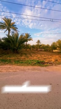 #للبيع_دونم_كامل_واجةة_17_ونص_بنزال   #للبيع_دونم_الدورة_عرب_جبور_لاحم...