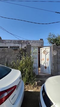 علوة الفحل • ١٠٠م • متروك ٤ سنين