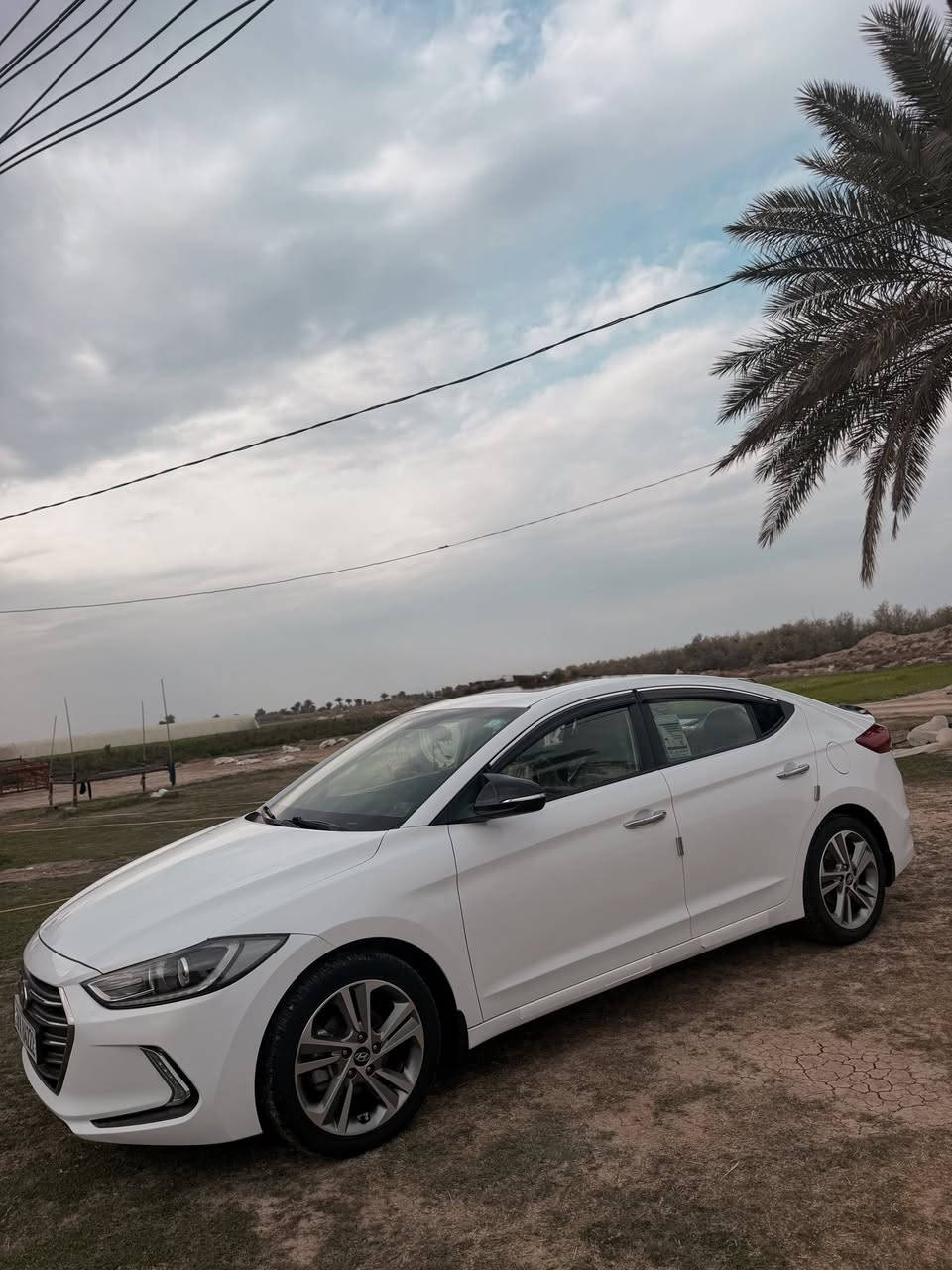 للبيع النترا موديل 2018 خليجي محرك 2000 دوش ماشيه 149 الف بعدها على حالة الوكاله فول مواصفات بانوراما  كفاله عامه من شخط او ضربه  وشرط على السونار  السعر 168 ورقه وبيها مجال بيسط للاستفسار مراسله اتصل *********** واتساب
