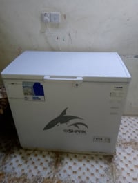 مجمدة • ١٢ قدم • بعقوبة