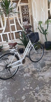 بايسكل • الطارمية