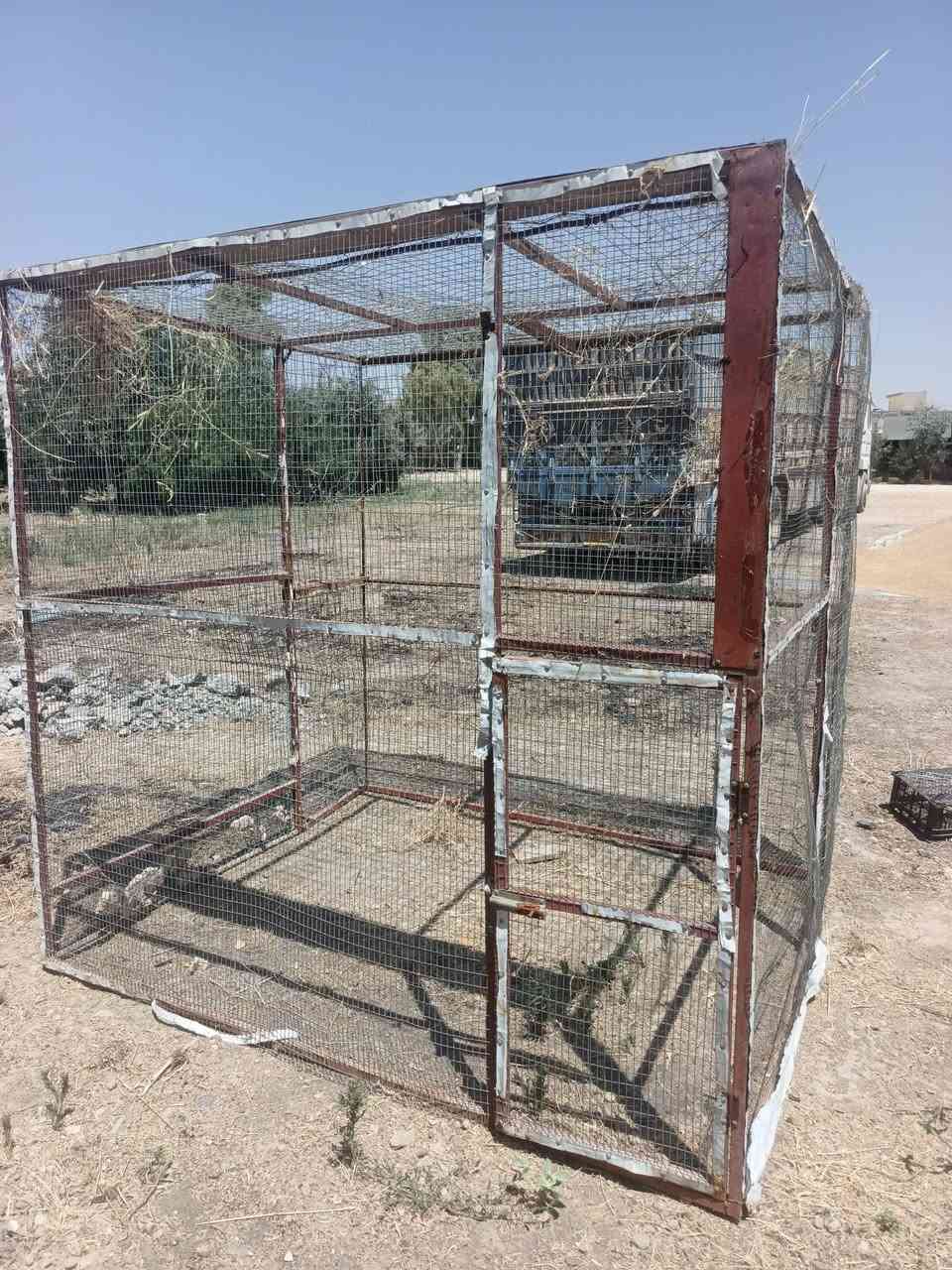 متاح
قفص للبيع.. قفص مرتب ونظيف مستعمل قليل.
سعر قفص (١١٠ )الف وبي مجال للطبيبن
. اليريد راسلني💬📲 او اتصل عل رق#***********
ارتفاع.. عرض.. 2*2
