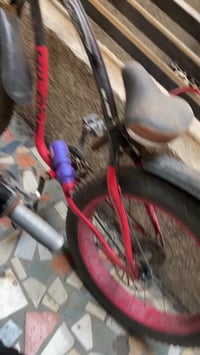 مراوس • بشحن • انطي فرق