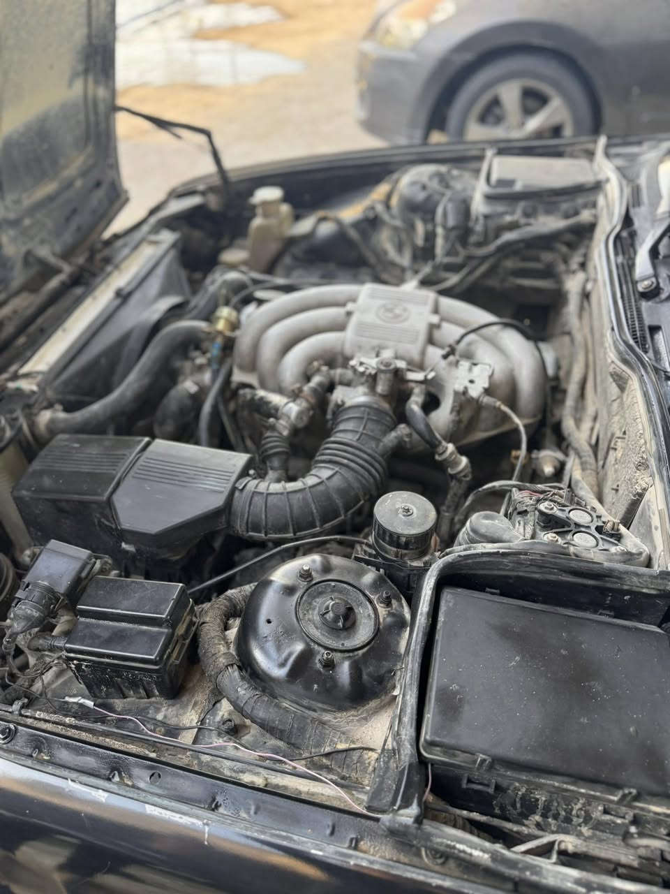 السلام عليكم شباب BMW525للبيع لون اسود رقم. امبار تريد تحويل تريد وكاله محرك كير مشروطات سستم صوت حداديه 60بلميه كهربائيات كلها شغاله بس الدشبول گيجاتا يلعبن لعب ما اعرف شنو المشكله فيت بم ضعيف داخل جلد نضافه 60 بلميه تايرات نضاف لايت زنون دمام بيها سماعات داخليه يمكن 16سماعه بين زغيره وجبيره مكانها النجف عسكري شارع السبيس سعرها35 وبيها للمعلومه السياره مو باسمي تريد وكاله تريد تحويل حاضرين ***********. ***********
