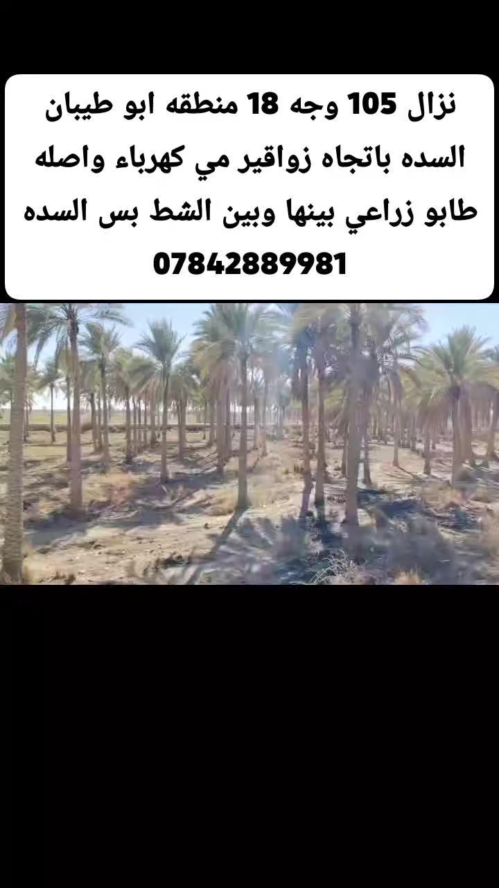 نزال 105 وجه 18 منطقه ابو طيبان السده باتجاه زواقير مي كهرباء واصله طابو زراعي بينها وبين الشط بس السده
***********
