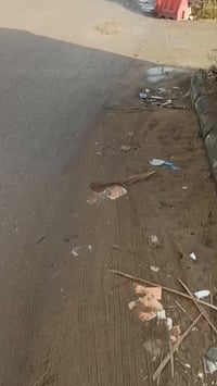 الادارة المحلية ناصرية • ٩٠٠م • ٣ يوت