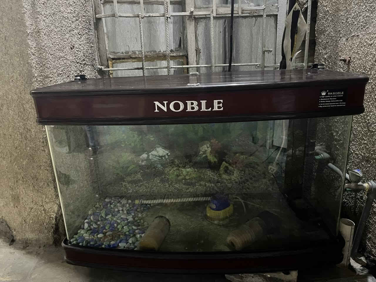 السلام عليكم 
عندي هذا حوض سمك صارلة شهرين مشتريته و اريد ابيعه ماعندي مكان اريده ب175 الف ويه الماطورات مالته هيج تاخذي كامل و سعره بي مجال مكاني البياع اللي تريده تراسلني خاص🫰🏼❤️


**إذا كنت صاحب هذا الإعلان وتريد حذفه لأي سبب، رجاءا أرسل رسالة إلى الدعم الفني**