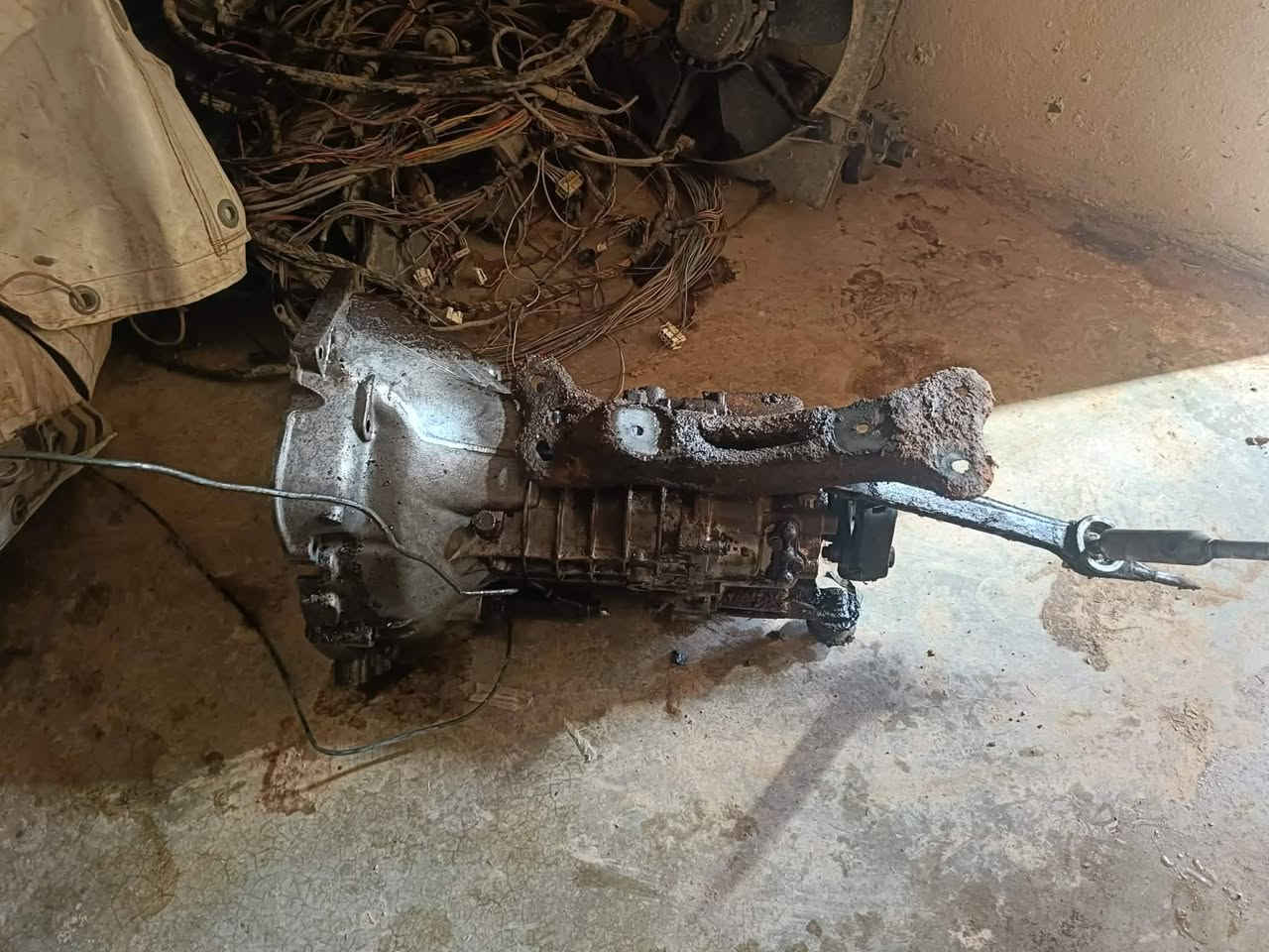 السلام عليكم ادواد البيع مال بيم حجم 730
تفاصيل اكثر التصال على الرقم *********** ملاحضه كلو نضيف وشرط
