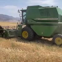 للبيع حاصيدة جوندير موديل 2003 رقم تحويل 07514428320