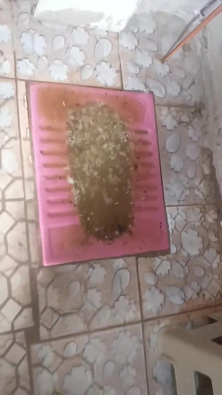 من رخصه الادمن تسليك كافه مجاري مزدوده ***********ضياء الحفار
