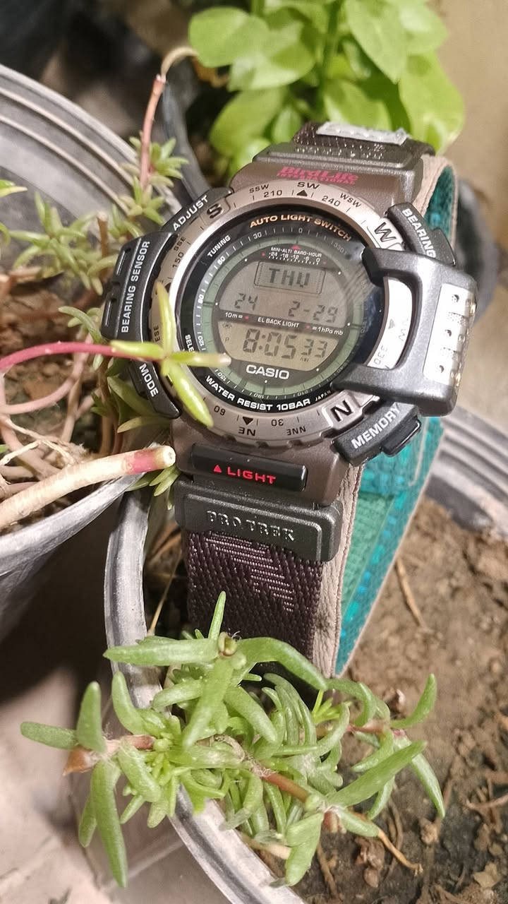 Casio Pro Trek PRT-40  
كاسيو بروتريك اصدار خاص ومحدود انتاج اليابان 1996
 بالتعاون مع منظمة BirdLife International (الحياة البرية). تتميز هذه الساعة الكلاسيكية، التي تعود لفترة التسعينيات، بكونها مخصصة للأنشطة الخارجية والاحترافية بفضل تزويدها بـ "المستشعر الثلاثي" (Triple Sensor). 
أهم المواصفات والميزات:
المستشعر الثلاثي: يتضمن بوصلة إلكترونية (Digital Compass)، ومقياساً للضغط الجوي (Barometer) مع مقياس للارتفاع (Altimeter)، ومستشعراً لدرجة الحرارة (Thermometer).
التصميم والإصدار: تحمل شعار "BirdLife" فوق الشاشة ومطبوعاً على الحزام، وهو إصدار نادر لهواة الجمع.
مقاومة الماء: تتمتع بمقاومة للماء حتى عمق 100 متر (10 BAR).
وظائف إضافية: تشمل إضاءة خلفية تلقائية (Auto Light Switch)، وخمسة منبهات يومية، وتقويماً كاملاً، وتنسيق وقت 12/24 ساعة.
التصميم والمواد: تأتي الساعة بهيكل من الراتينج/البلاستيك والفولاذ المقاوم للصدأ، وشكل دائري، وشاشة عرض رقمية. 
تتميز بحافة قابلة للدوران باتجاهين تستخدم كبوصلة لتحديد الاتجاهات
نظافة تامة


**إذا كنت صاحب هذا الإعلان وتريد حذفه لأي سبب، رجاءا أرسل رسالة إلى الدعم الفني**