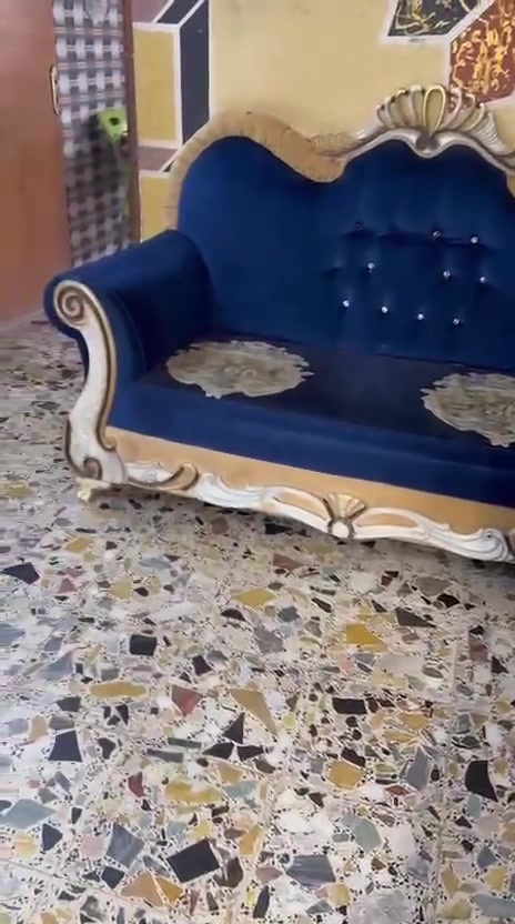 مستعمل نضيف سعر خاص


**إذا كنت صاحب هذا الإعلان وتريد حذفه لأي سبب، رجاءا أرسل رسالة إلى الدعم الفني**