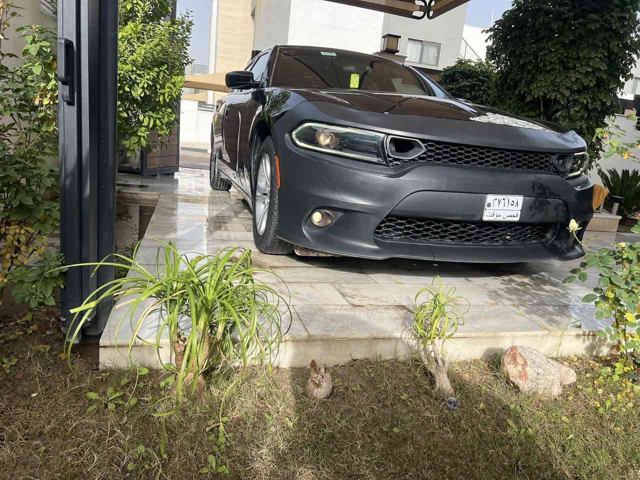 السلام عليكم جارجر 23 النداء الاخير شبه كلين
فقط هاي الي بمقدمة البنيد ممصلحه على وضعهه صور امريكا داخل المنشور 

ماشي 46 ميل 

بدون رقم تترقم جميع المحافظات 

تو ويل 

3600 

السياره على وضع الشركه خاليه من الشخوط والرصعات ملاحظه اثناء الشحن  ترويجه بسيطة جداً  في مقدمة القماره 

سعر مناسب غير قابل للتفاوض 215 $ 

مكاني بعقوبه .. مجمع مكي 

***********
