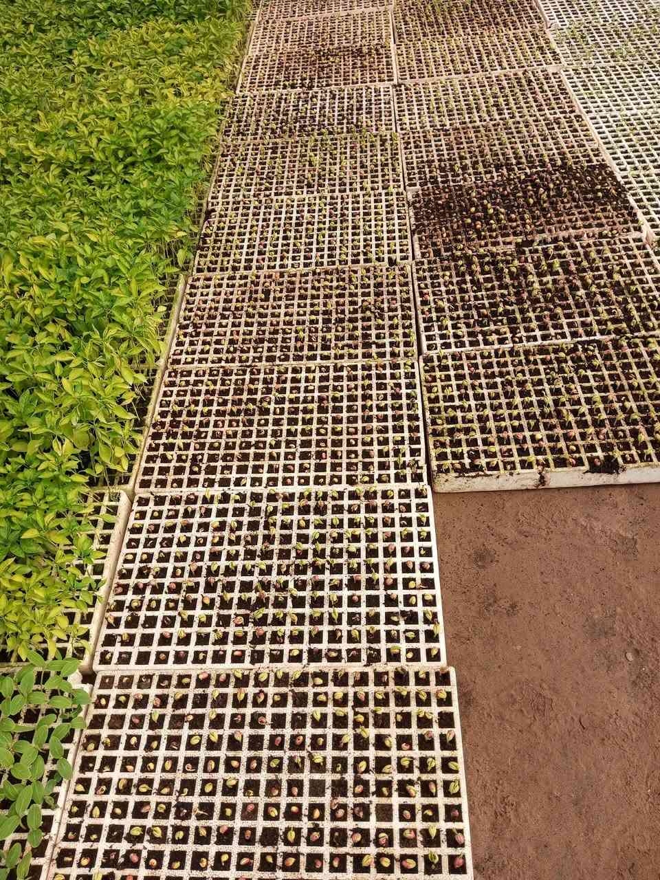 يوجد لدينا  كافه انواع الدايات
***********
